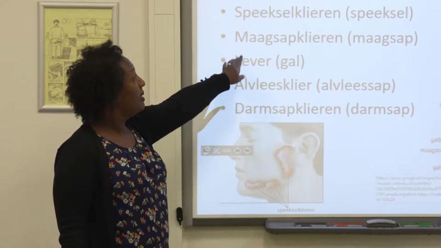 leraar-biologie-dt-1.jpg