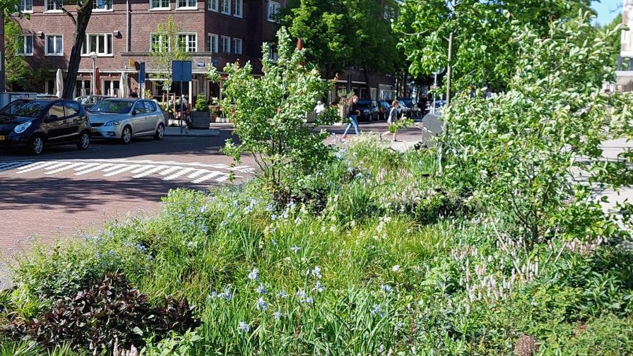 project-de-klimaat-adaptatie-monitor-1.1.jpg