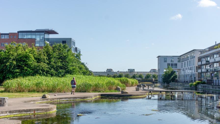 natuurinclusief---malmo--aiste-janciauskaite.jpg