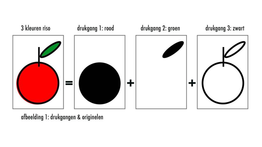 riso_voorbeeld.jpg