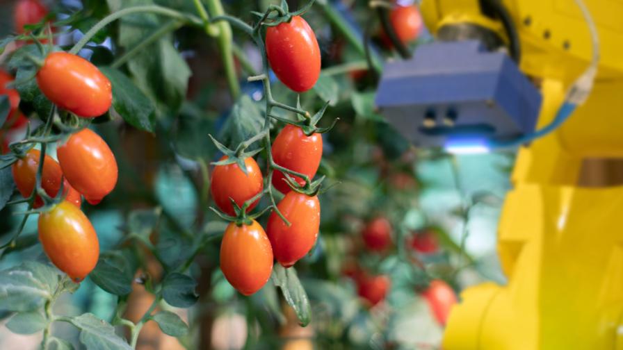 the-detectable-vegetable_haagse-hogeschooljpg.jpg