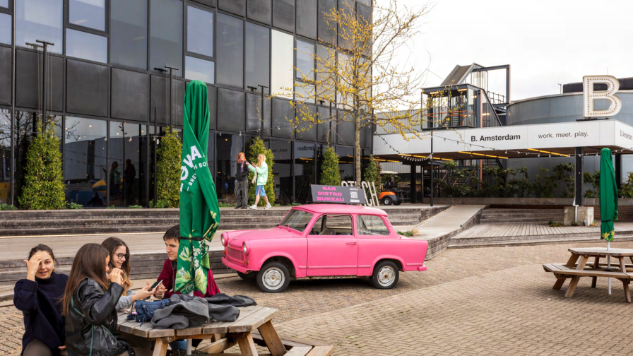 nieuwe-meer-de-plantijn.png