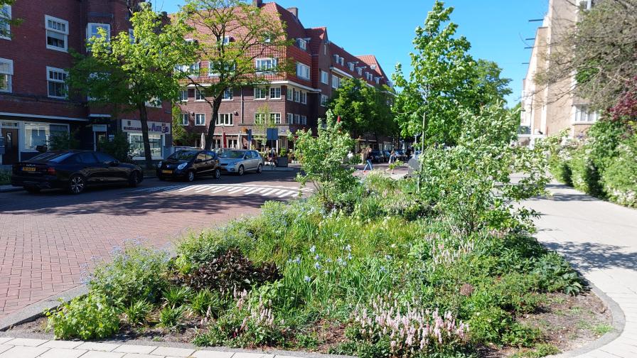 Project de Klimaat Adaptatie Monitor