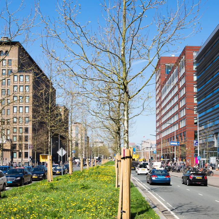 amstelcampus-hva-amsterdam.jpeg
