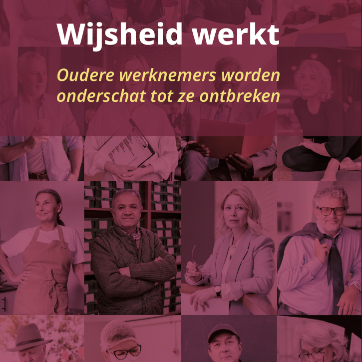 wijsheid-werkt.png