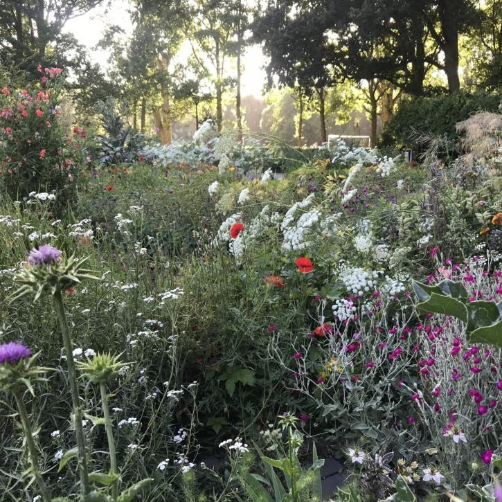 Foto: The Miracle Garden in het Erasmuspark door Elspeth Diederix