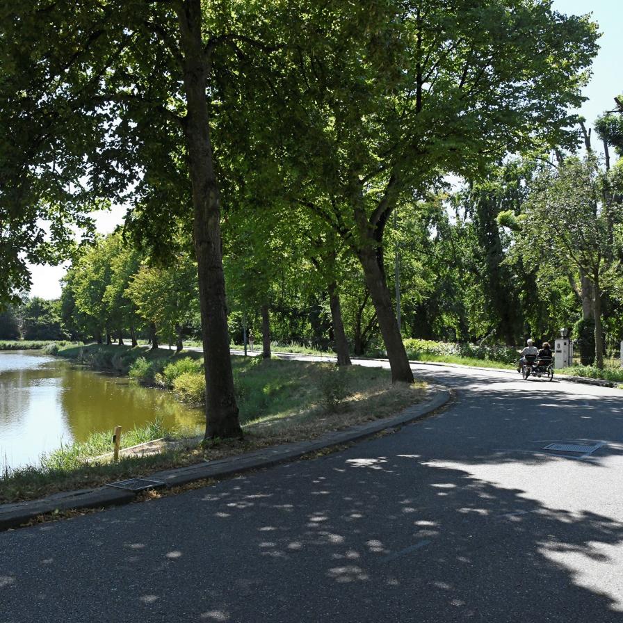 project-cool-cities-credit-aart-van-belzen-1.1.jpg