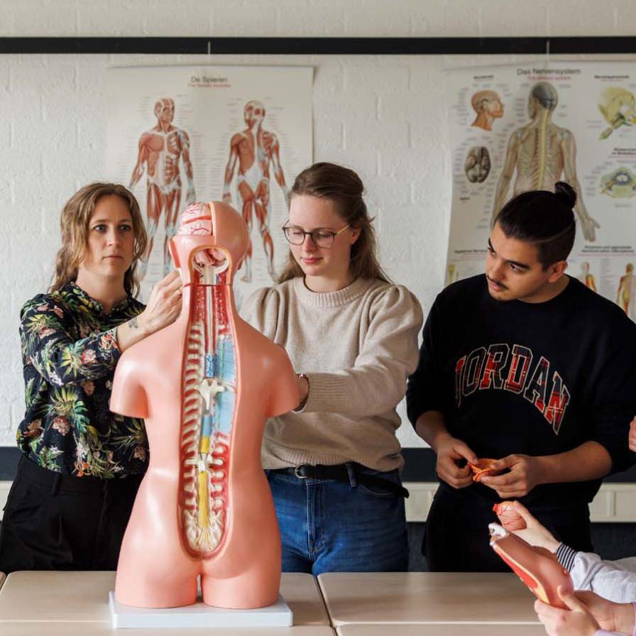 leraar-gezondheidszorg-en-welzijn---docent-geeft-uitleg-aan-studenten-mbv-torsomodel.jpg