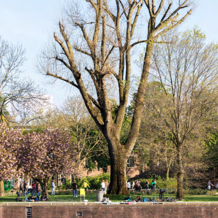 marineterrein-portret.png