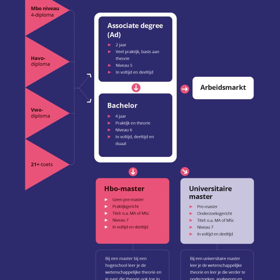 bama-schema-portrait-def-2.jpg