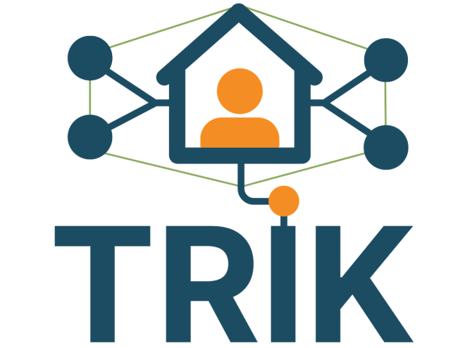 project-trik.png