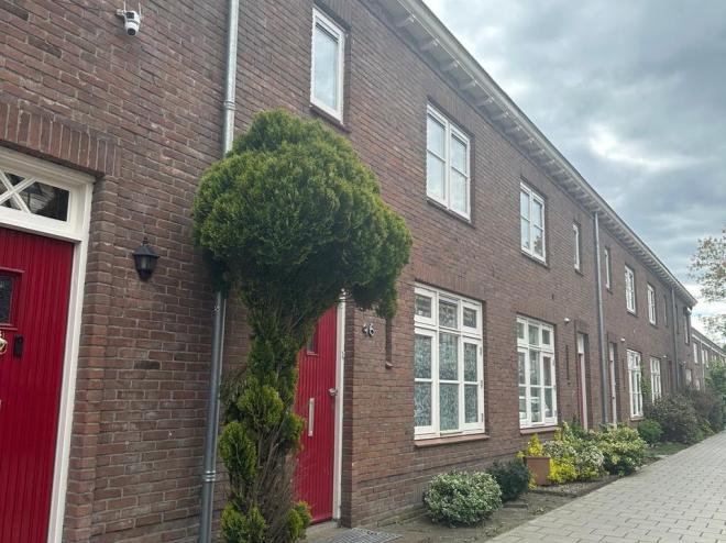 Voordeur met boom