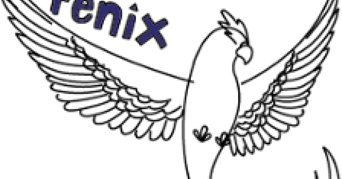 Project Fenix | AUAS
